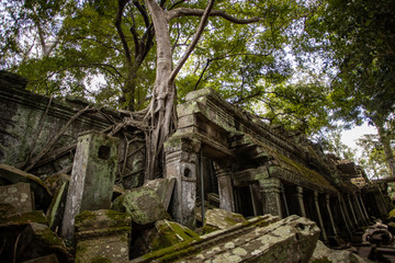 Inside Ta Prohm temple in Cambodia