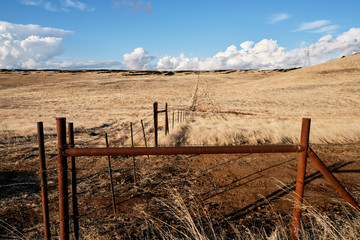 Rural Landscape of a Fence Around A Ranch Pasture