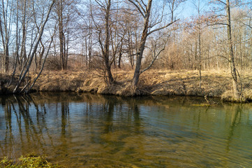 Fototapeta na wymiar Spring landscape with stream in wood on background blue sky