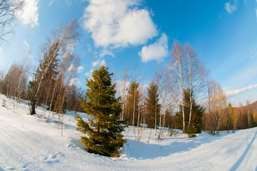 clearing in the winter mountains on a sunny day for outdoor activities and walks