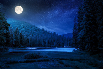 Obrazy na Szkle  jezioro lato krajobraz w nocy. piękna sceneria wśród lasu w górach w świetle księżyca w pełni