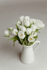 White tulip