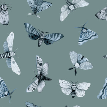 blue night butterfly, indigo butterfly seamless pattern, wild insects, watercolor vintage illustration, hand drawing