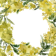 Naklejka na ściany i meble mimosa, yellow plants, leaves and flowers, frame wreath, botanical illustration watercolor