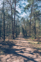 a long deserted forest path