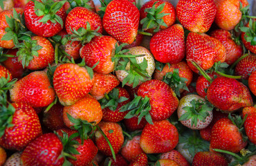 Strawberry, Fruit, Food, Berry Fruit, Ripe