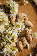 Beautiful background with blooming tree. Spring flowers on the tree. Enjoying nature and springtime