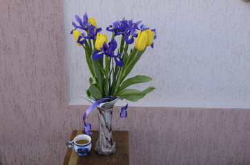 On a light background a bouquet of fresh flowers, blue irises and yellow tulips.