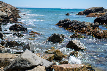 mossy beach rocks in the ocean