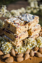 Blueberry Crumble Cake. Easter sweet dessert cake. Black currant cake. Close up view. Selective focus. Crumble cake with blueberries and homemade cottage cheese in blooming trees. Outdoor shooting