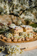 Obraz na płótnie Canvas Blueberry Crumble Cake. Easter sweet dessert cake. Black currant cake. Close up view. Selective focus. Crumble cake with blueberries and homemade cottage cheese in blooming trees. Outdoor shooting