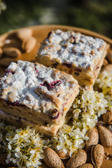 Blueberry Crumble Cake. Easter sweet dessert cake. Black currant cake. Close up view. Selective focus. Crumble cake with blueberries and homemade cottage cheese in blooming trees. Outdoor shooting