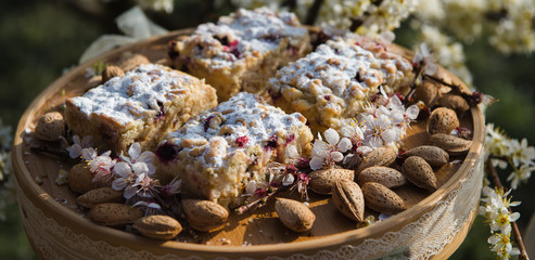 Blueberry Crumble Cake. Easter sweet dessert cake. Black currant cake. Close up view. Selective focus. Crumble cake with blueberries and homemade cottage cheese in blooming trees. Outdoor shooting