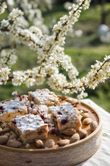 Blueberry Crumble Cake. Easter sweet dessert cake. Black currant cake. Close up view. Selective focus. Crumble cake with blueberries and homemade cottage cheese in blooming trees. Outdoor shooting