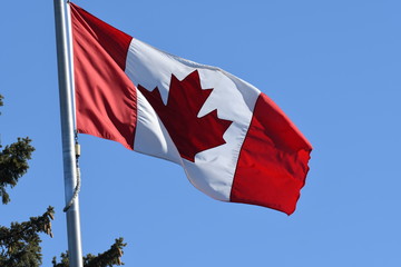 Waving Canadian flag a top of pole with blue sky