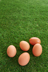  Eggs on top of green grass.