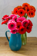 Colorful gerberas in vase. 