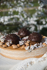 Tasty chocolate cupcakes. Homemade chocolate muffin cupcake with cream buttercream icing. Easter sweet dessert cake. Close up view. Cupcakes in blooming trees. Outdoor shooting in garden.