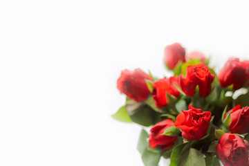 bouquet of red roses. a gift for a woman's holiday. festive mood.