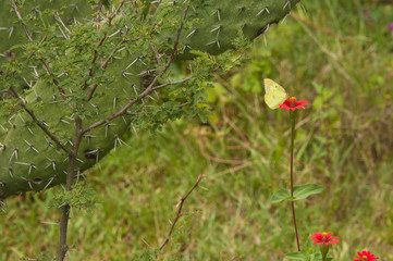 Naturaleza en México