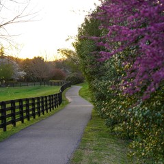 path
