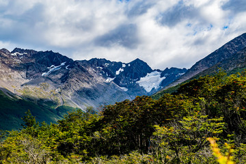 Fototapeta premium Bosque, montaña y Glaciar