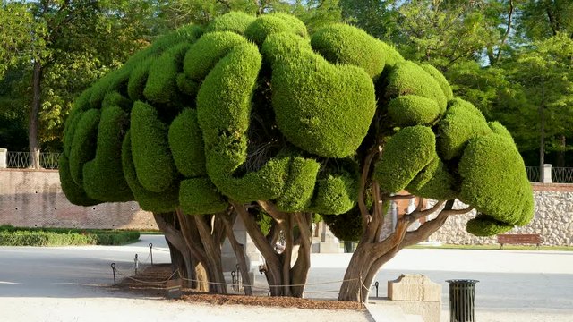 Scenic landscape of Buen Retiro Park in Madrid on sunny summer day. Spain. 4K
