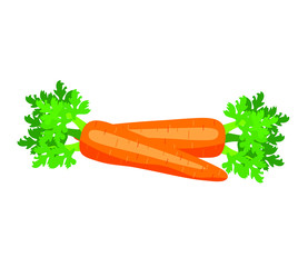 Vector illustration with two orange carrot in flat style. Vegetarian product for salads, juice, smoothies, cakes. Сartoon vegetable icon. Pattern diet vegetable energy life.