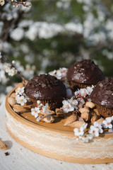 Tasty chocolate cupcakes. Homemade chocolate muffin cupcake with cream buttercream icing. Easter sweet dessert cake. Close up view. Cupcakes in blooming trees. Outdoor shooting in garden.