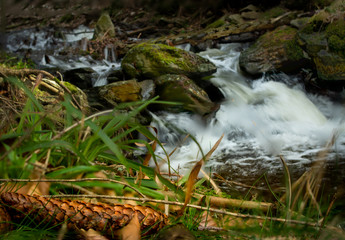 Landscape Landschaft