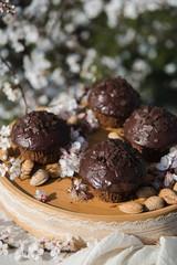 Tasty chocolate cupcakes. Homemade chocolate muffin cupcake with cream buttercream icing. Easter sweet dessert cake. Close up view. Cupcakes in blooming trees. Outdoor shooting in garden.