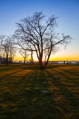 Fototapeta na wymiar Beautiful View of a park by the Pacific Ocean Shore, Blackie Spit, during a vibrant sunny winter sunset. Located in White Rock, Vancouver, British Columbia, Canada.