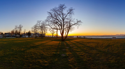 Fototapeta na wymiar Beautiful Panoramic View of a park by the Pacific Ocean Shore, Blackie Spit, during a vibrant sunny winter sunset. Located in White Rock, Vancouver, British Columbia, Canada. Panorama