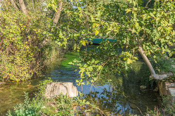 Picturesque view of wonderful vegetation and nature of 