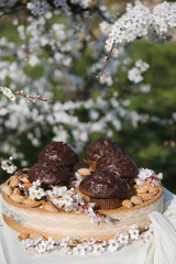 Tasty chocolate cupcakes. Homemade chocolate muffin cupcake with cream buttercream icing. Easter sweet dessert cake. Close up view. Cupcakes in blooming trees. Outdoor shooting in garden.