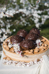 Obraz na płótnie Canvas Tasty chocolate cupcakes. Homemade chocolate muffin cupcake with cream buttercream icing. Easter sweet dessert cake. Close up view. Cupcakes in blooming trees. Outdoor shooting in garden.