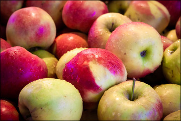 AppleMarketFresh