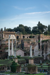 Obraz premium The Forum in Rome Italy