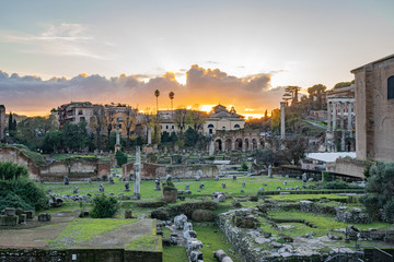 Fototapeta premium The Forum in Rome Italy