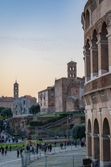 The Colosseum in Rome Italy