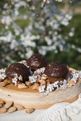 Tasty chocolate cupcakes. Homemade chocolate muffin cupcake with cream buttercream icing. Easter sweet dessert cake. Close up view. Cupcakes in blooming trees. Outdoor shooting in garden.