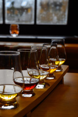 Flight of Scottish whisky, tasting glasses with variety of single malts or blended whiskey spirits on distillery tour in Scotland