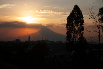 Fototapeta premium Dry branches and trees with leaves in the city of Puebla Mexico with the great Popocatepetl in the background at sunset