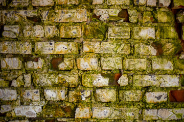 Old dirty with rough texture wall. White-green color. architectural construction. vintage.