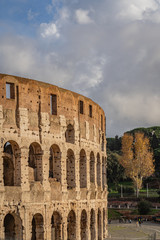 Obraz premium The Colosseum in Rome Italy