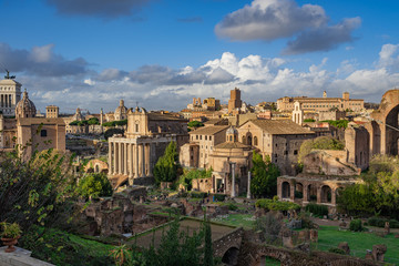 Fototapeta na wymiar The Forum in Rome Italy