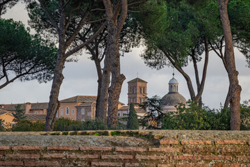 The Forum in Rome Italy