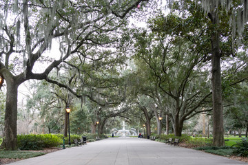 The avenue sheltered by live oaks and Spanish moss in Wormsloe Historic Site in Savannah, Georgia, USA. Wormsloe Historic Site, informally known as Wormsloe Plantation, is a state historic site. 