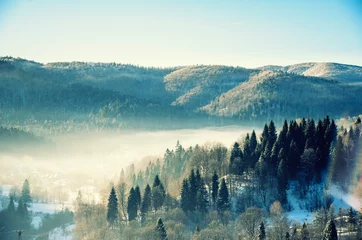 Zelfklevend Fotobehang Mistig bos zima w bieszczadach