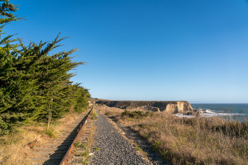 View of Train Tracks Being Taken Over by Nature